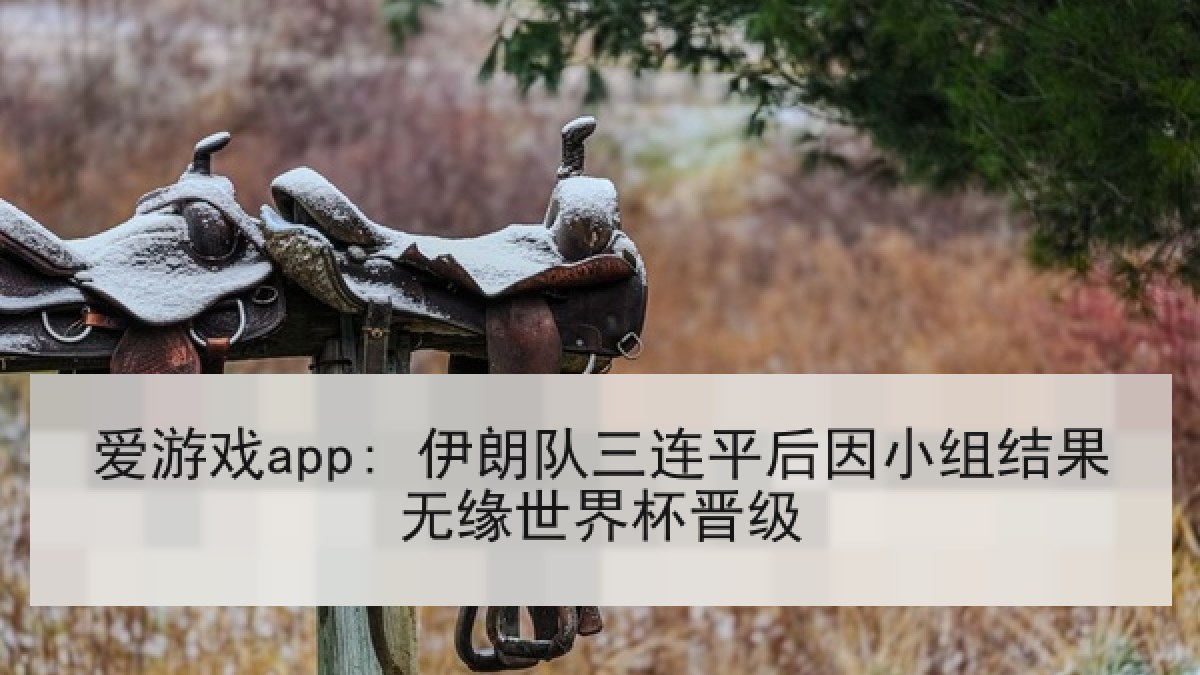 爱游戏app: 伊朗队三连平后因小组结果无缘世界杯晋级