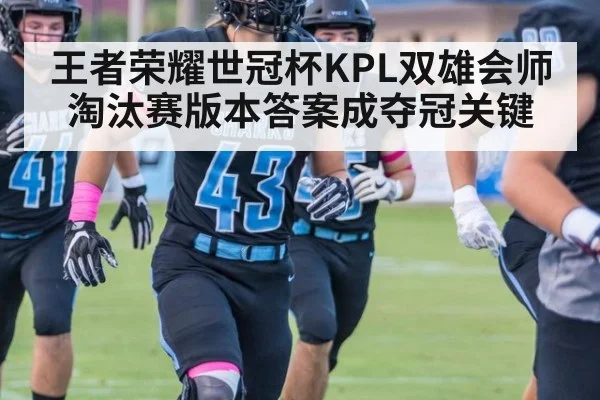 王者荣耀世冠杯KPL双雄会师淘汰赛版本答案成夺冠关键